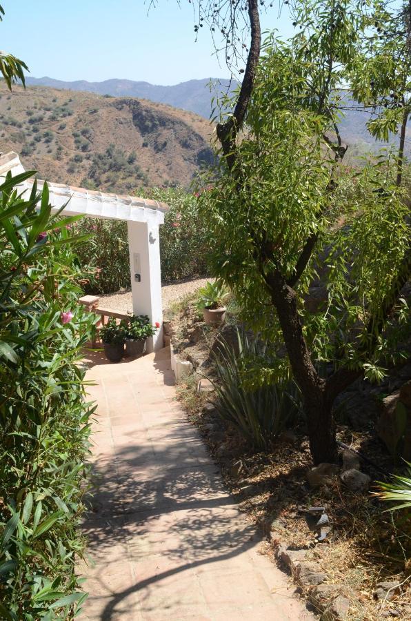 דירות Canillas de Aceituno Casa Del Limon מראה חיצוני תמונה