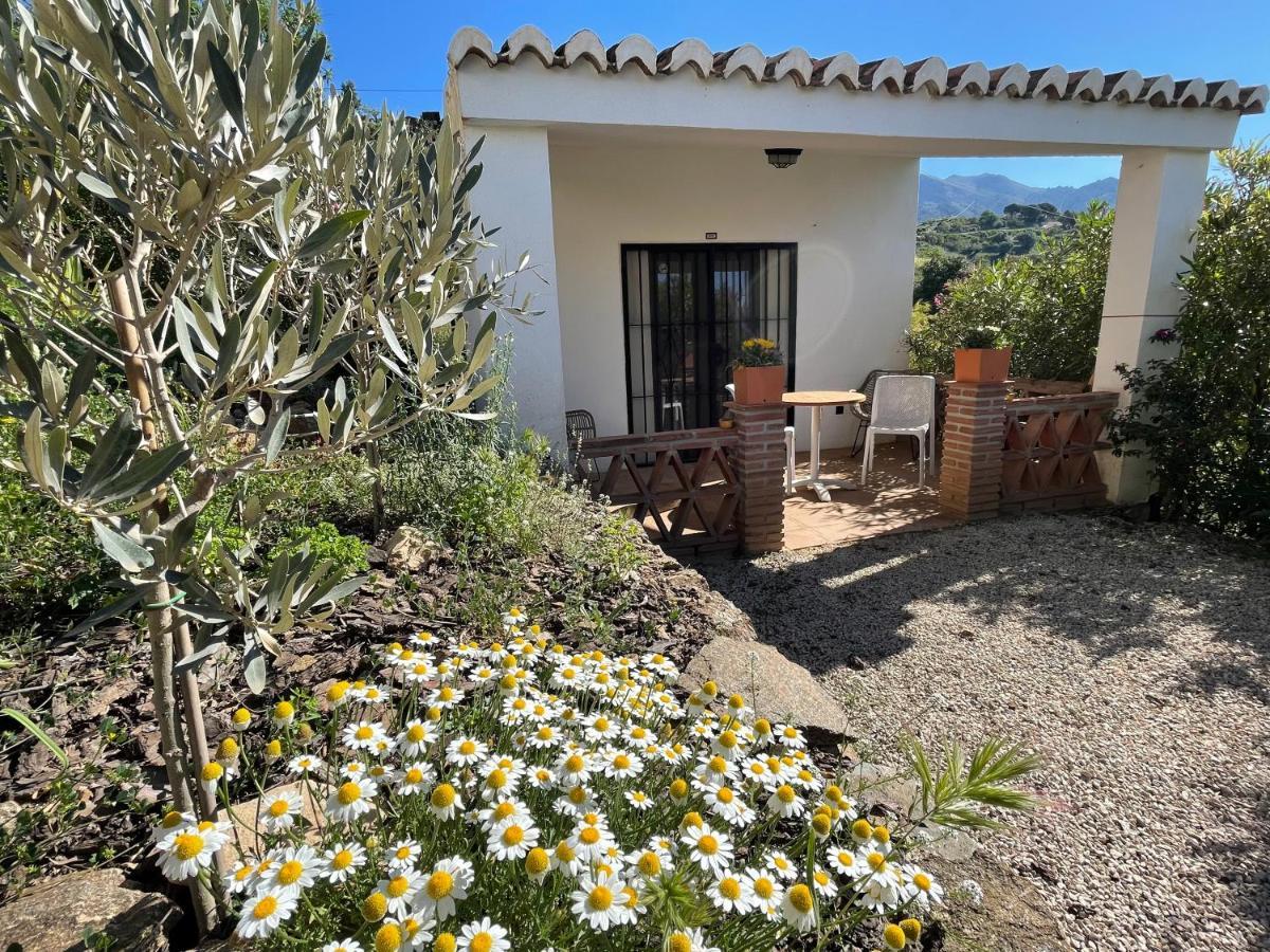 דירות Canillas de Aceituno Casa Del Limon מראה חיצוני תמונה